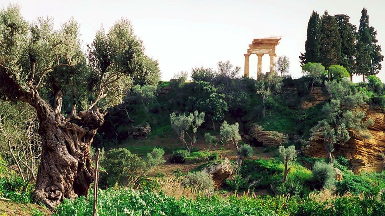 La Degli Dei 2* Agrigente